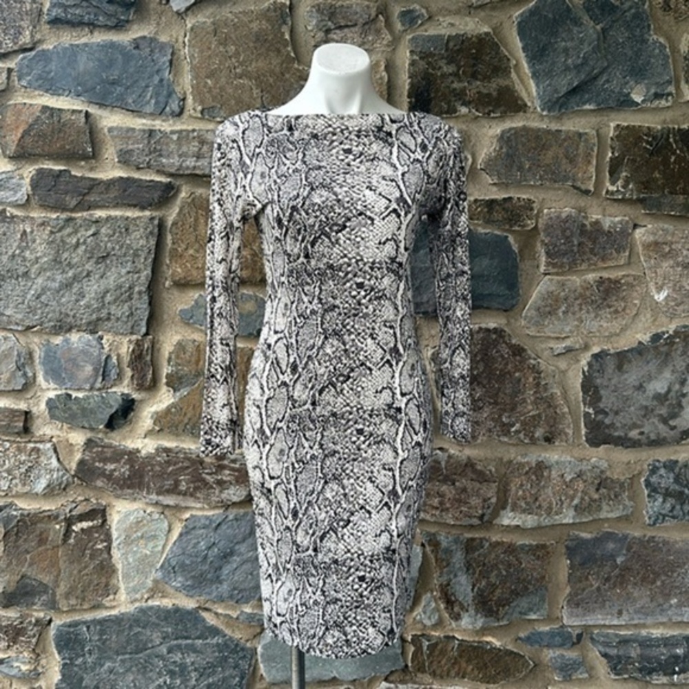 Equipment Aubrey 100% Silk Snake Print Dress size Medium